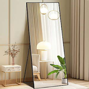 CONCETTA 56"x15" Arched Full Length Mirror (Gold) $25.99 +Free S&H w/ Walmart+ or $35+