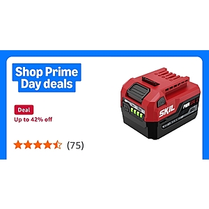 SKIL 12V PWRCORE 4.0Ah battery with USB-C charging port  - $39