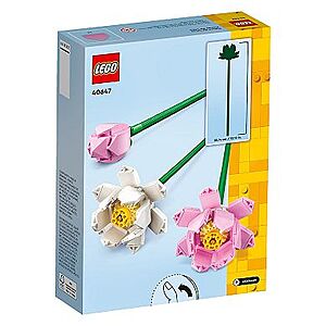 LEGO Botanicals Daisies 11508 (133 Pieces) $8.99, Lotus Flowers 40647 $7.79 + more + Free Shipping
