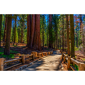 Round Trip San Diego - Bozeman MT (Yellowstone Nat'l Park) or Vice Versa $167 Nonstop Airfares on Alaska Airlines BE (Travel Sept-Oct 2026)
