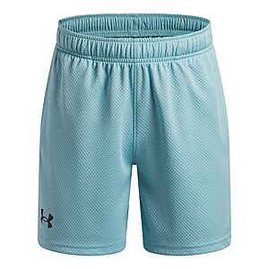 Under Armour Boys' Tech Mesh Shorts, (425) Blue Haze / / Black, Small $7.98