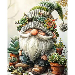 16x20" Easy Paint by Numbers Kit for Adults Beginner Gnome on Canvas 5.99 + Free Shipping w/ Prime or on $35+