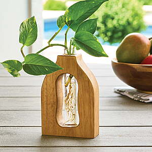 Better Homes & Gardens Wood and Glass Tall or curved Propagation Station, $6.74, Walmart