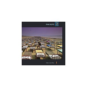 Pink Floyd - A Momentary Lapse of Reason (180 Gram Vinyl Gatefold LP Jacket) $22.18