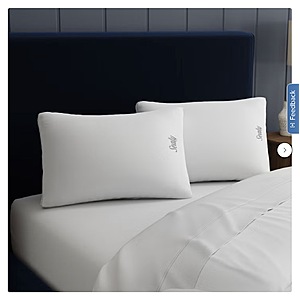 Sealy Sterling Collection Down-Alternative Pillow, 2-pack $18.99 Standard/Queen $29.99 King free shipping Costco.com