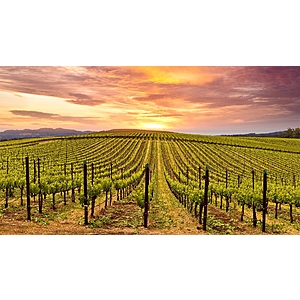 Napa Valley Marriott Hotel & Spa 2+ Night for 2 Ppl + Daily Breakfast, Daily $50 Dining Credit, Waived Resort Fee & More $519