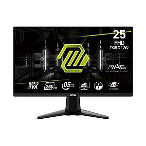 MSI 25" FHD (1920 x 1080) HDMI DP 250Hz 0.5ms Adaptive-Sync LCD Gaming Monitor - MAG 255XFV $59.4