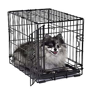 Vibrant Life 18" Foldable Wire Dog Crate w/ Divider & Leak-Proof Tray $8.27 + Free Shipping w/ Walmart+ or on $35+