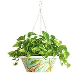 $5 Free Pick Up SAMS CLUB MEMBERS Member's Mark 14'' Hanging Flower Pot with Stainless Steel Chain