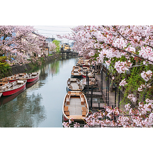 Round Trip New York to Fukuoka Japan $876 Airfares on Cathay Pacific with 1 Free Checked Bag (Travel September 2026 - May 2027)