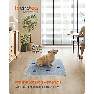 Feandrea 2-Pack 48" x 36" Washable Pee Pads for Dogs $13 + FS w/ Prime or orders $35+