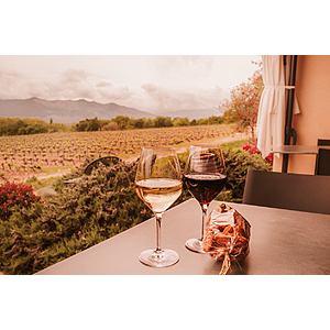 Round Trip San Diego - Sonoma/Wine Country or Vice Versa $117 Nonstop Airfares on Alaska or Southwest Airlines BE + Check-In Case of Wine For Free (Travel August 2026-March 2027)