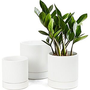 3-Pack 6"/5"/4" LaDoVita Ceramic Plant Pots w/ Drainage Holes & Trays (White Vertical Stripes) $12.49 + Free Shipping w/ Prime or on $35+