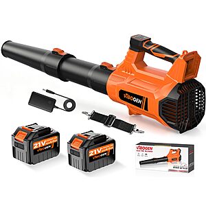21V Cordless Leaf Blower w/ 2×6.0Ah Batteries + Charger, 650 CFM/280 MPH - $39.99