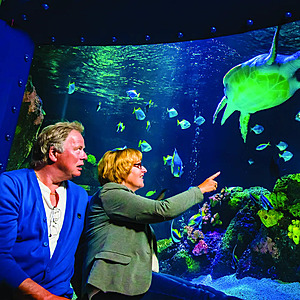 SeaLife Aquarium Teacher Appreciation Month August 2026 (Michigan, Minnesota, Grapevine TX) - Free Admission for Teacher