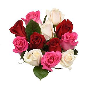 Dozen Roses $8 at Kroger, Ralphs, Fred Meyer Grocery Stores