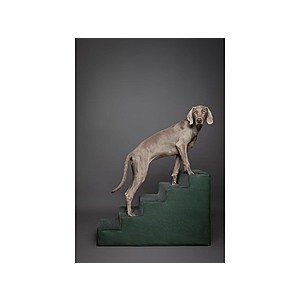 Noah & Paw Vegan Leather Pet 5 Stairs for Dogs & Cats w/ Removable Washable Cover $44.99 + Free Shipping