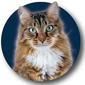 PETSMART PERKS Double Dip: Save 20% on all PETSMART BRANDS (for all pets inc fish, hamsters, cats, dogs, etc) then get 20% back in points on purchase (SEE POST)