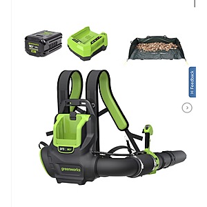 Greenworks 800CFM Backpack Blower (1) 4ah Battery and Leaf Tarp $299.99 Free Shipping Costco.com