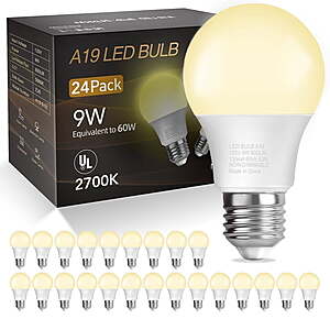24-Pack DAYBETTER A19 LED Light Bulbs 60W Equivalent 9W 800 Lumens E26 Base (2700K Soft White) $19.98 + Free Shipping w/ Walmart+ or on $35+