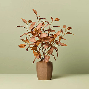 22" Hearth & Hand w/ Magnolia Rusted Eucalyptus Artificial Fall Arrangement $14.99 + Free Shipping