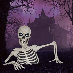 62" Giant Ground Breaking Skeleton with LCD Eyes and Sound $299.99