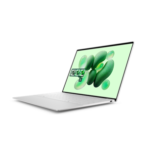 Dell XPS 13 9345: 13.4" FHD+ 120Hz IPS, SD X Elite X1E-80-100, 32GB LPDDR5X, 512GB PCIe SSD, Win11H @ $900 /w email Signup