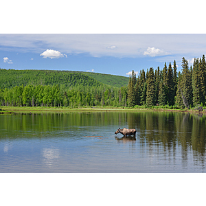 Round Trip Miami - Fairbanks Alaska or Vice Versa $344 Airfares on Alaska or Delta Air Lines BE (Travel September - February 2027)