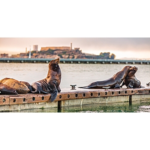 [Travelzoo Members] 4* Hotel Caza San Francisco From $129 Per Night; Waived Daily Resort Fee; 1/2 Off Parking; Heated Pool and More (Travel Thru February 2027)