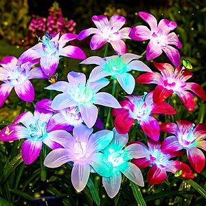 Amazon – Ahaorigin 4-Pack 7-Color Solar Lily Garden Lights $13.49 w/ Code
