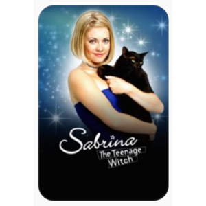 $19.99 Sale for Sabrina the Teenage Witch: The Complete Series