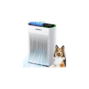 Air Purifier for Large Room, Cleans 2,400 ft² in 30 Mins, 3-Stage True HEPA, 360° Airflow, Large Touch Display Control, Real-Time Air Quality (PM2.5) Display