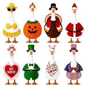 Amazon – Funle 8-Pc Porch Goose Outfit Set $34.99 w/ Code