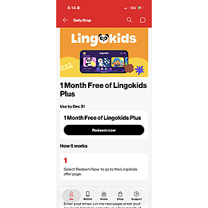 Lingo Kids Plus