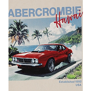 abercrombie kids Boys' Hawaii Race T-Shirt - Oatmeal $18.75