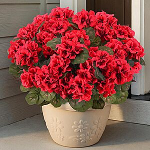 PABREY 6 Pcs Artificial Geraniums Flowers for Outdoors Realistic Faux flower $9.86