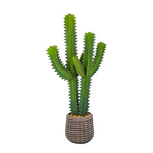 Amazon - 3-ft Artificial Cactus Plant in Brown Pot - $39.99 w/ Code