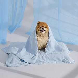 Bedsure Lightweight Cooling Blanket for Cats and Small Dogs (Various) 25" x 35" from $9.39, 40" x 50" from $13.74 & More + Free Shipping w/ Prime or on $35+