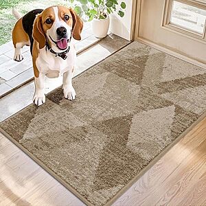 $9.99* | COSY HOMEER 20" x 32" Entryway Non-Slip Rug at Amazon