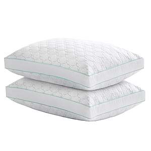Martha Stewart Garden Trellis Quilted Pillow, 2-pack $26.99 Standard/Queen $29.99 King free shipping Costco.com