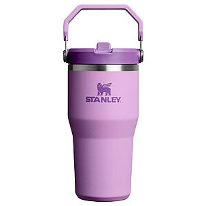 20-Oz STANLEY IceFlow 2.0 Flip Straw Tumbler with Handle (Lilac) $15.00 + Free Shipping w/ Prime or on $35+