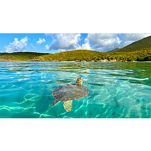 Round Trip New York - St Maarten USVI Caribbean or Vice Versa $290 Nonstop Airfares on Jetblue BE (Limited Travel September - November 2026)