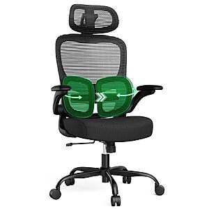 Ergonomic Office Desk Chair, 350 LBS High-Back Mesh Chair with Dual Lumbar Support & 3D Headrest $99.99
