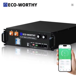 ECO-WORTHY 48V 100Ah LiFePO4 Lithium Battery W/Bluetooth | UL1973 & UL9540A & CEC Listed | 5120Wh Server Rack Battery $608