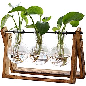 XXXFlower 3-Bulb Vase Plant Terrarium Air Planter w/ Wooden Stand $9.49 + Free Shipping w/ Prime or on $35+