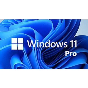 Microsoft Windows 11 Pro: Lifetime License - $11.99