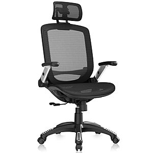 GABRYLLY Ergonomic Office Chair High Back Home Desk Chair with Headrest $199.90 + free shipping