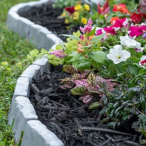 EasyFlex No-Dig Landscape Edging with Anchoring Spikes, 2.7 in. Tall Decorative Stone-Look Garden Border, 90 Foot Kit, Slate Gray (3602S-90C) $137.4