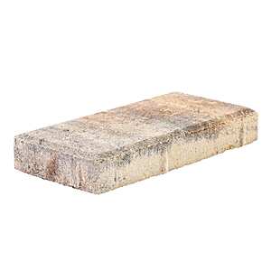 Pavestone 8" x 4" x 1" Rectangle Concrete Paver (Sierra/Smooth) $0.34 + Free Store Pickup at Lowe's