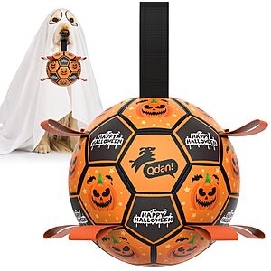 6" QDAN Dog Soccer Ball w/ Straps (Halloween) $8.99 + Free Shipping w/ Prime or on $35+